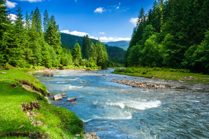River in Forest Valley — Green, Serene, Afternoon, Photograph, Trees, Mountains