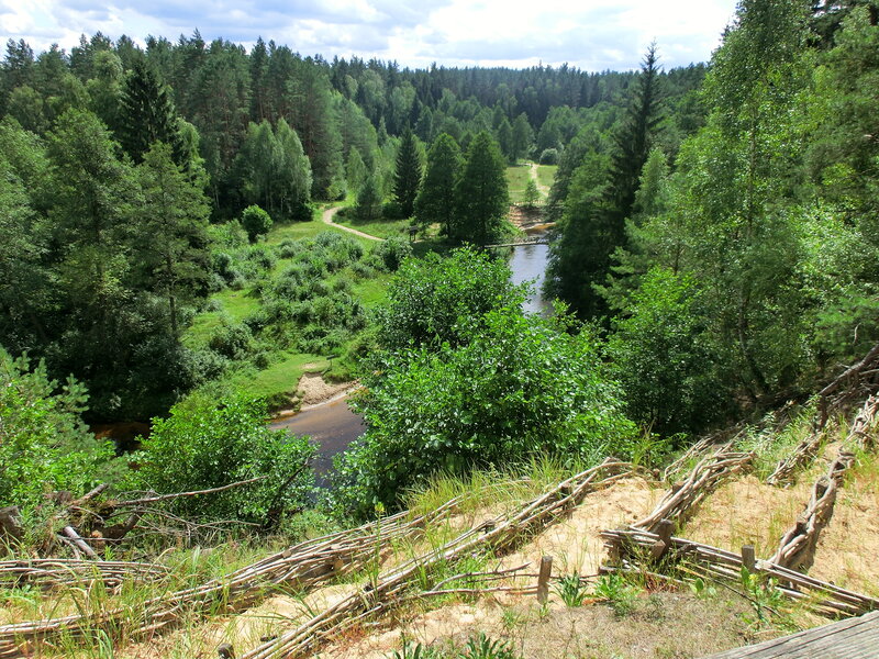 River in Forest Valley — Green, Serene, Afternoon, Photograph, Trees, Path