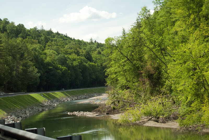 River in Forest Valley — Green, Serene, Afternoon, Photograph, Trees, Road