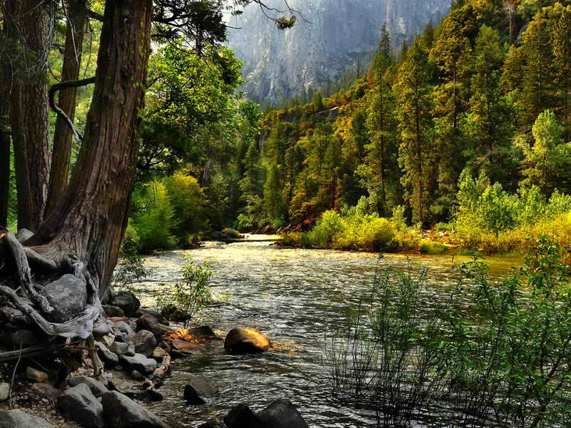 River in Forest Valley — Green, Serene, Afternoon, Photograph, Trees, Rocks, Mountain