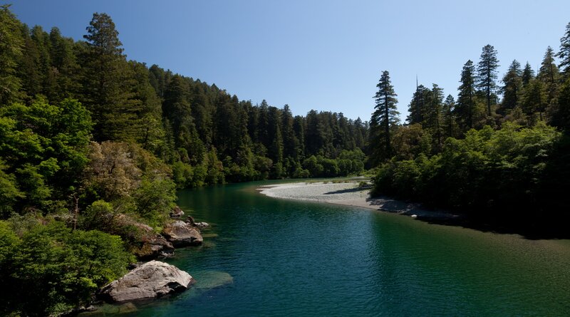 River in Forest Valley — Green, Serene, Afternoon, Photograph, Trees, Rocks, Sandbar