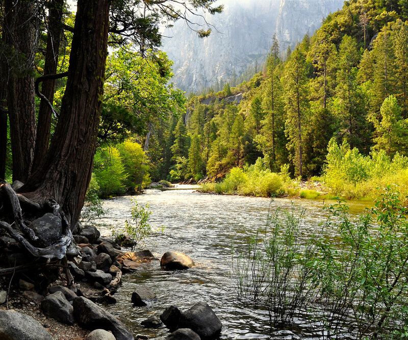 River in Forest Valley — Green, Serene, Afternoon, Photograph, Trees, Rocks