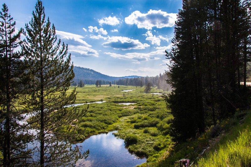 River in Forest Valley — Green, Serene, Afternoon, Photograph, Trees, Sky, Mountain