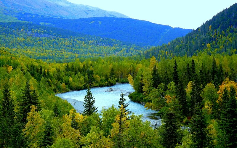 River in Forest Valley — Green, Serene, Autumn, Photograph, Mountains