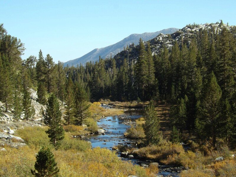 River in Forest Valley — Green, Serene, Autumn, Photograph, Mountains, Trees
