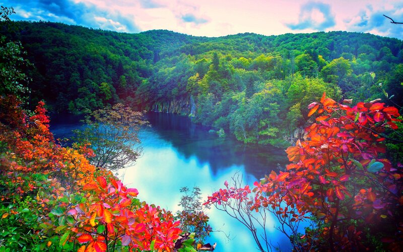 River in Forest Valley — Green, Serene, Autumn, Photograph, Trees, Hills, Sky