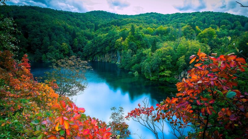 River in Forest Valley — Green, Serene, Autumn, Photograph, Trees, Hills