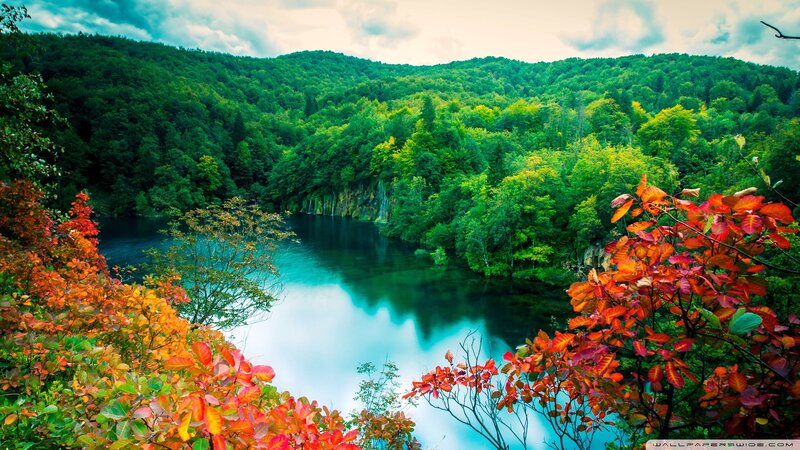 River in Forest Valley — Green, Serene, Autumn, Photograph, Trees, Lake