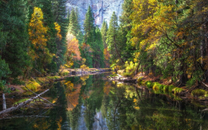 River in Forest Valley — Green, Serene, Autumn, Photograph, Trees, Mountain