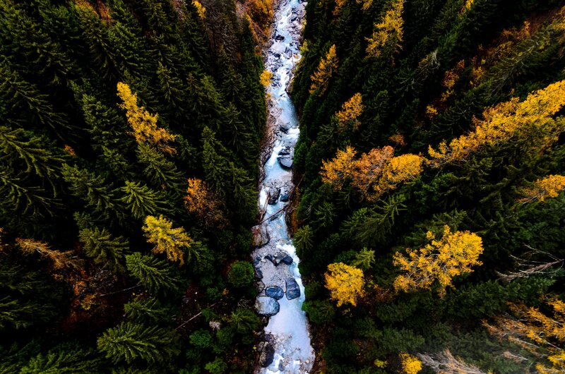 River in Forest Valley — Green, Serene, Autumn, Photograph, Trees, Rocks, Stream