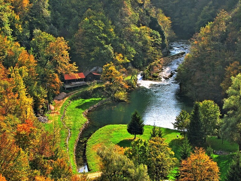 River in Forest Valley — Green, Serene, Autumn
