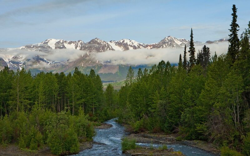 River in Forest Valley — Green, Serene, Morning, Photograph, Mountains