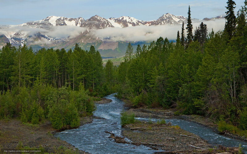 River in Forest Valley — Green, Serene, Morning, Photograph, Mountains, Trees, Clouds