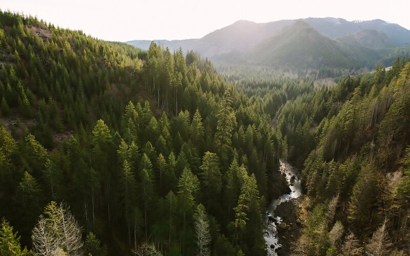 River in Forest Valley — Green, Serene, Morning, Photograph, Mountains, Trees, Stream