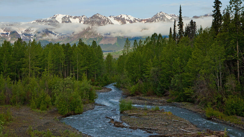River in Forest Valley — Green, Serene, Morning, Photograph, Mountains, Trees
