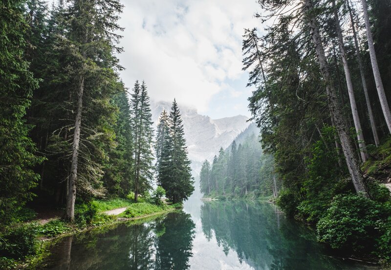 River in Forest Valley — Green, Serene, Morning, Photograph, Trees, Mountain, Path