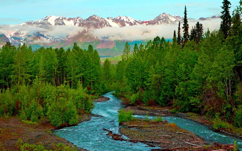 River in Forest Valley — Green, Serene, Morning