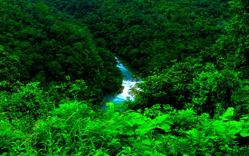 River in Forest Valley — Green, Serene, Photograph