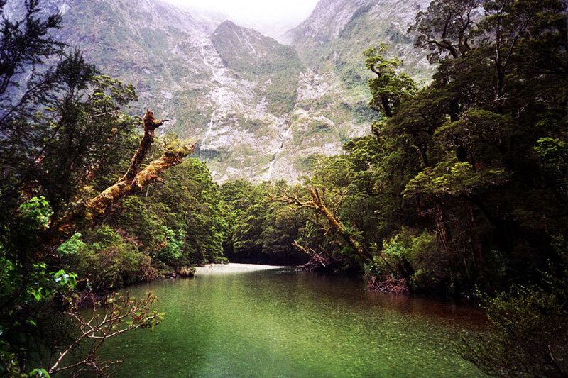 River in Forest Valley — Green, Serene, Photograph, Trees, Mountains