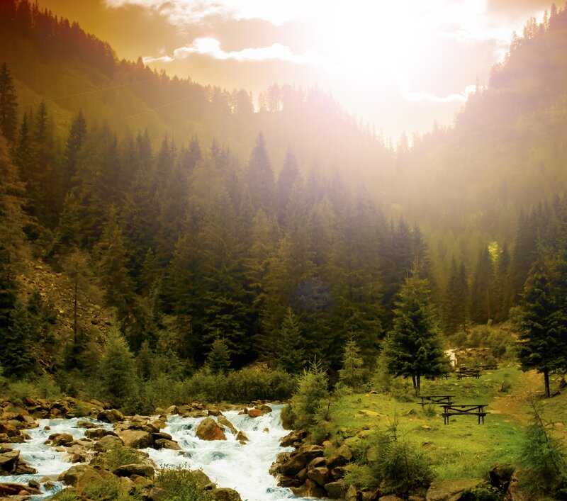 River in Forest Valley — Green, Serene, Sunset, Photograph