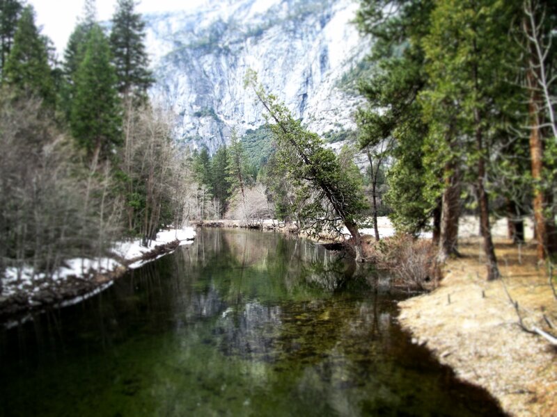 River in Forest Valley — Green, Serene, Winter