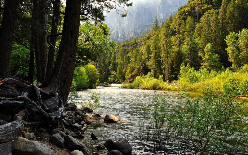 River in Forest Valley — Mountain