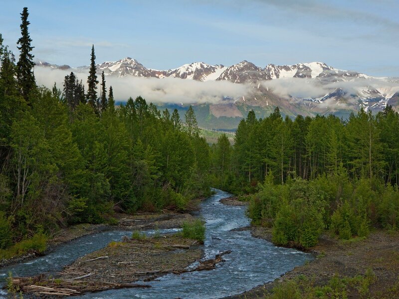 River in Forest Valley — Mountains