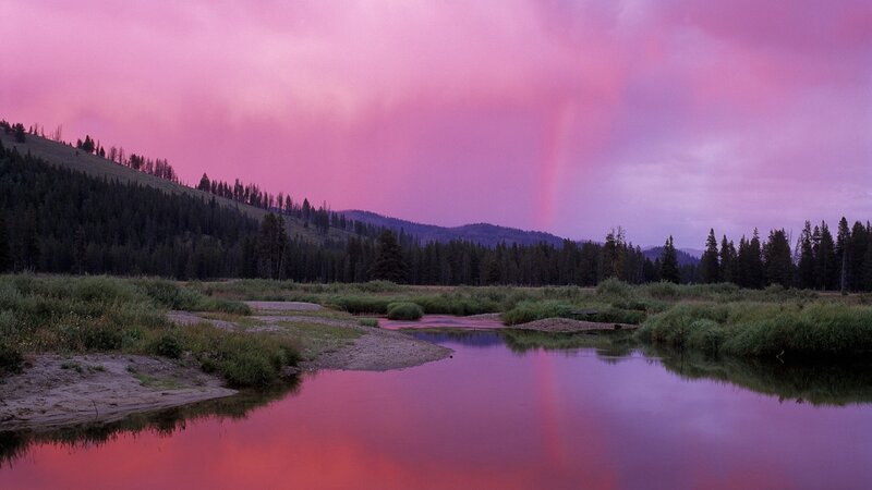 River in Forest Valley — Pink, Dramatic