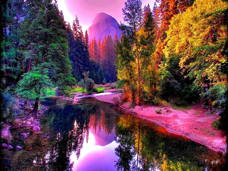 River in Forest Valley — Purple