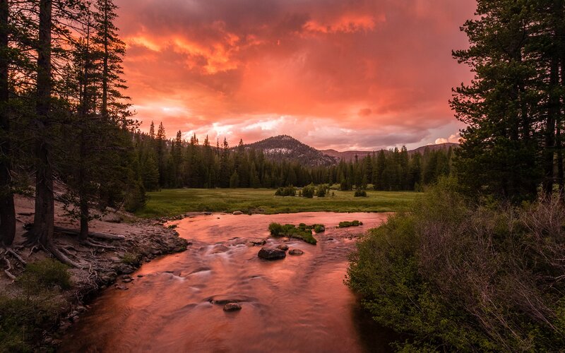 River in Forest Valley — Red
