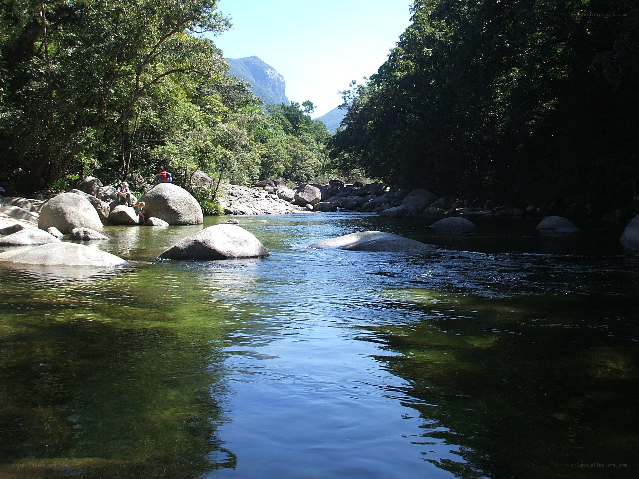 River in forest with boulders