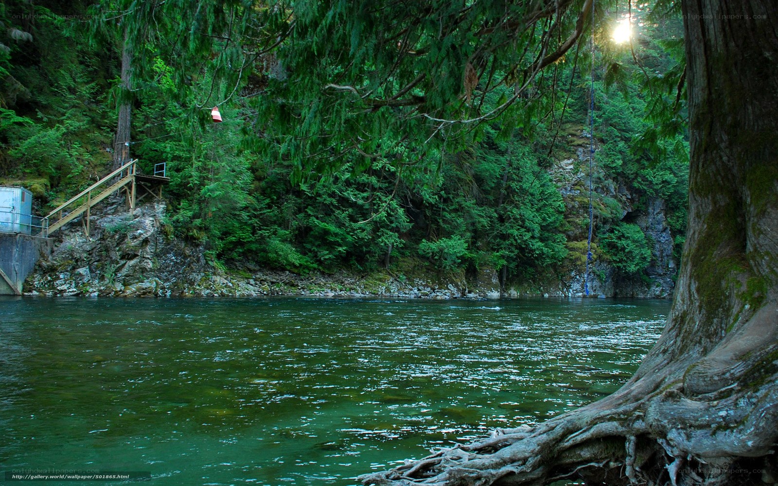 river in forest with wooden dock