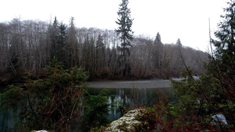 river in forested area