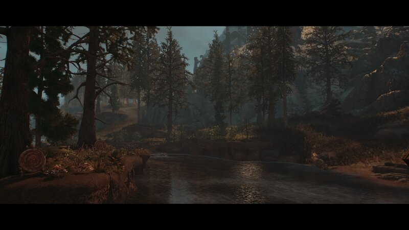 River in Forested Area — Brown