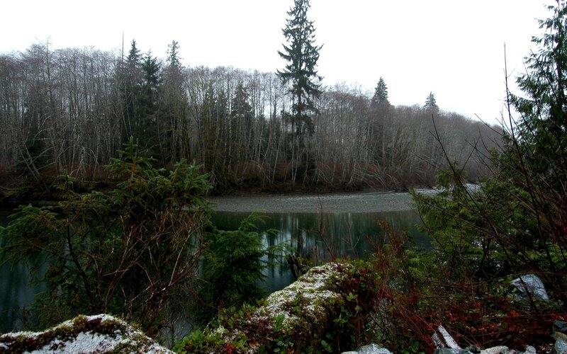 River in forested area