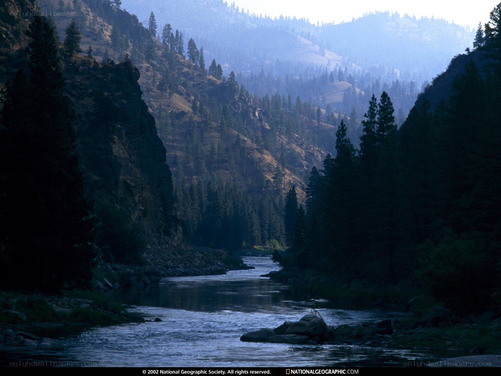 river in forested canyon