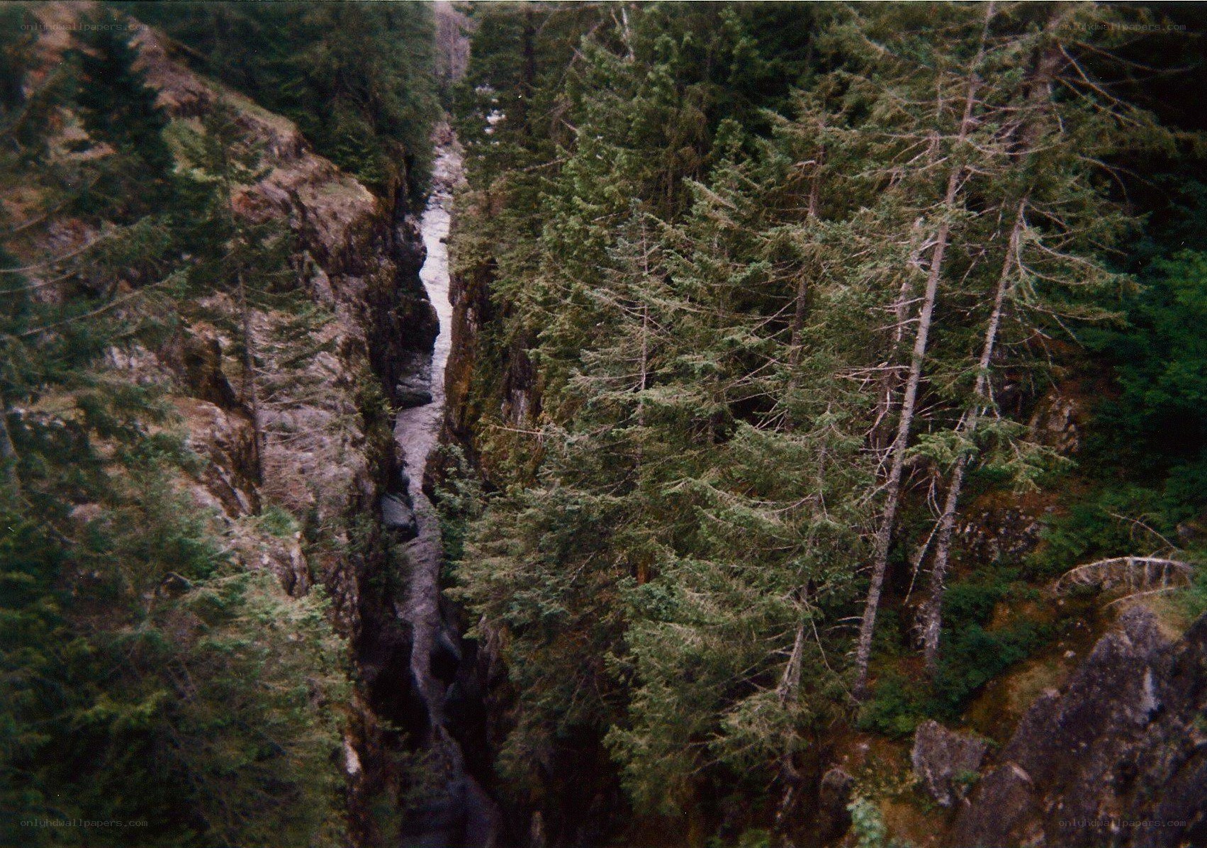 river in forested canyon
