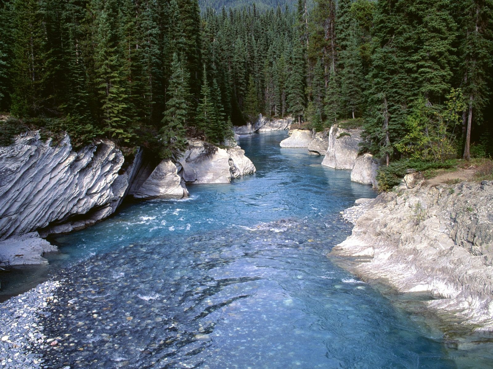 river in forested canyon