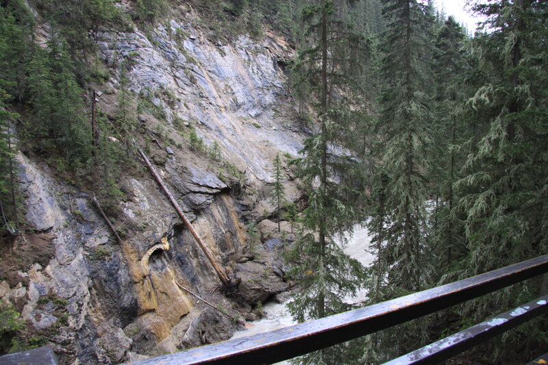 River in Forested Canyon — Green, Natural