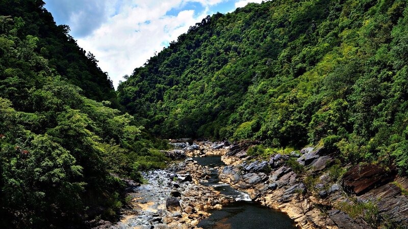 River in Forested Canyon — Green, Serene, Afternoon, Photograph, Rocks