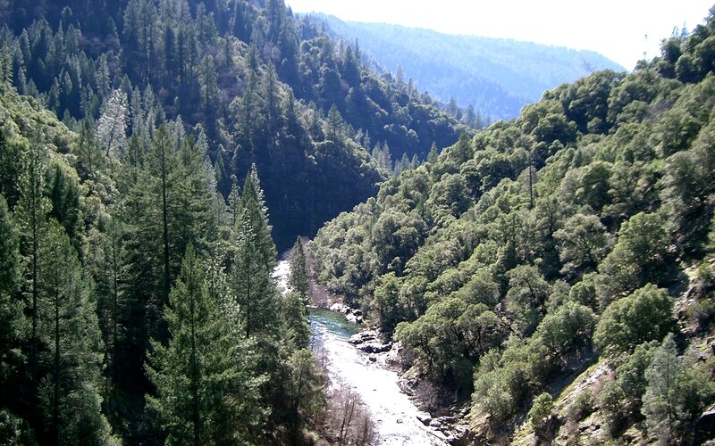 River in Forested Canyon — Green, Serene