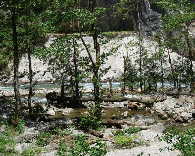 River in Forested Canyon — Green