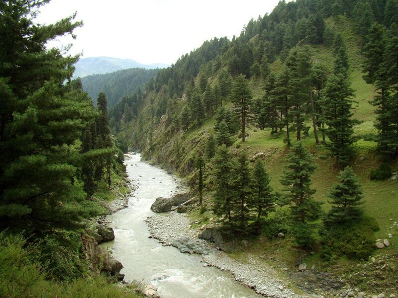 river in forested mountain valley