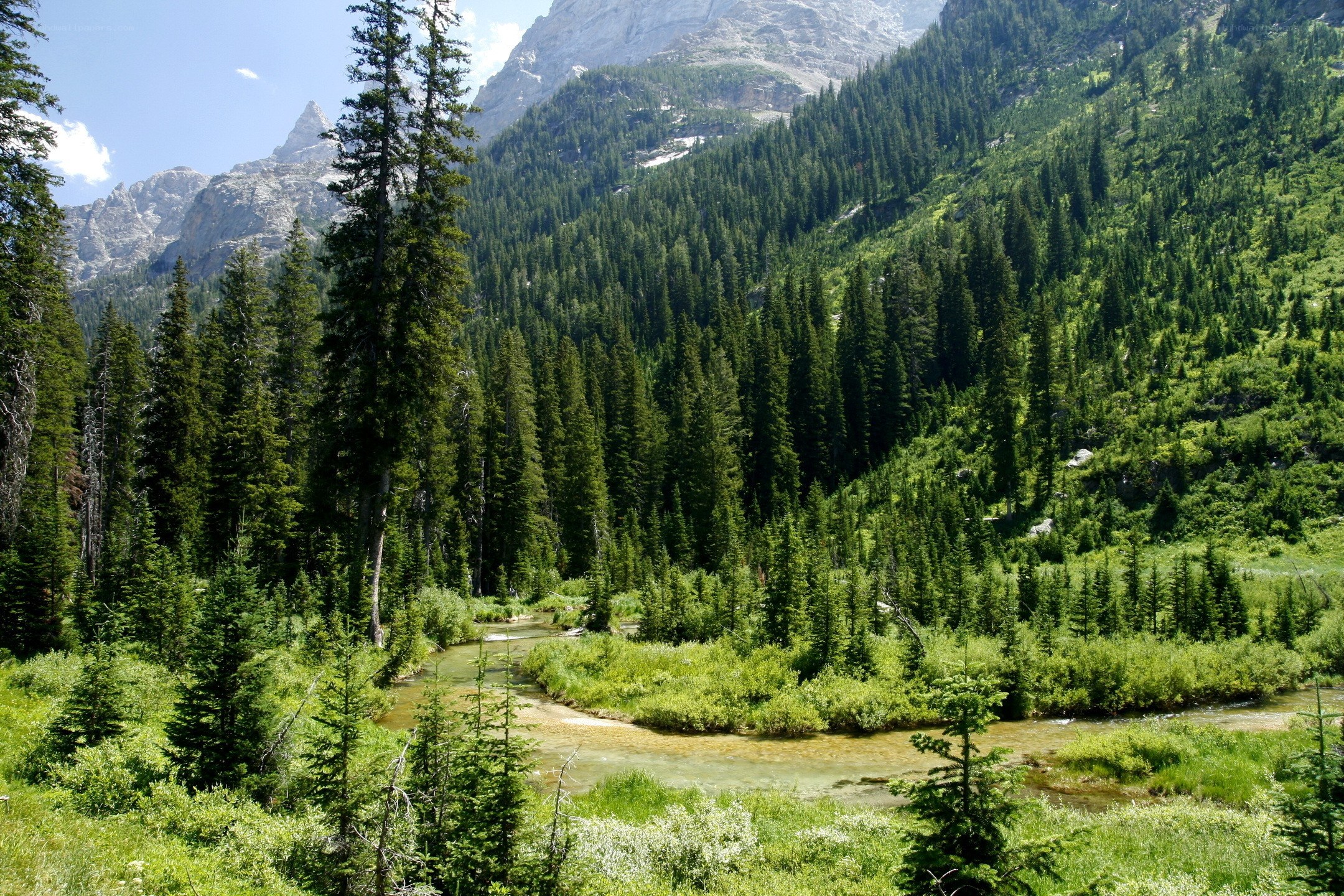 river in forested mountain valley