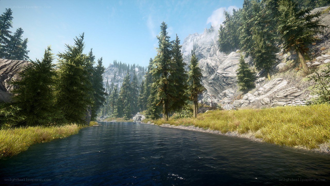 river in forested mountain valley