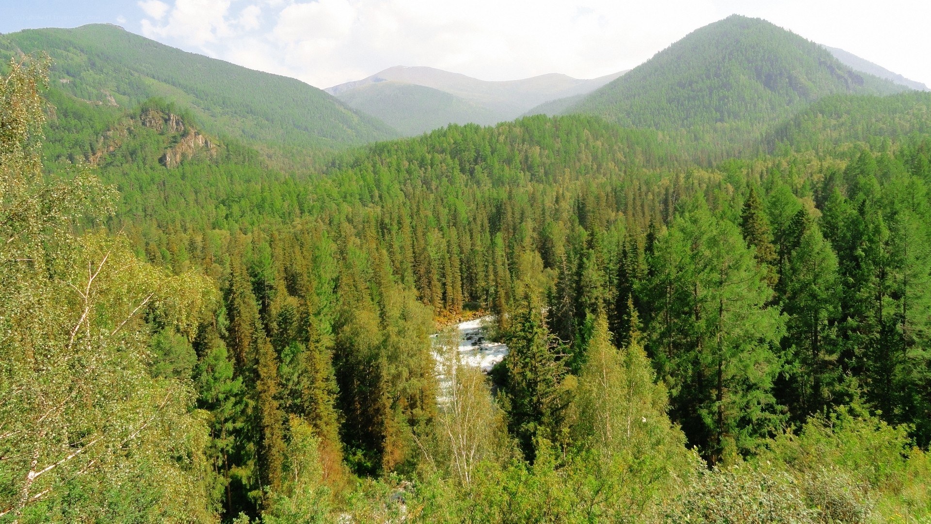 river in forested mountain valley