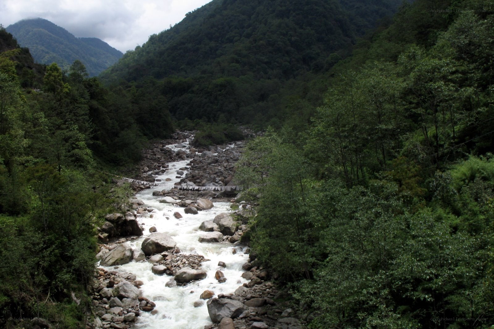 river in forested mountain valley