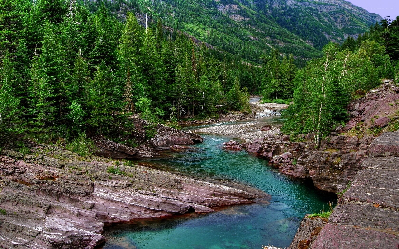 river in forested mountain valley