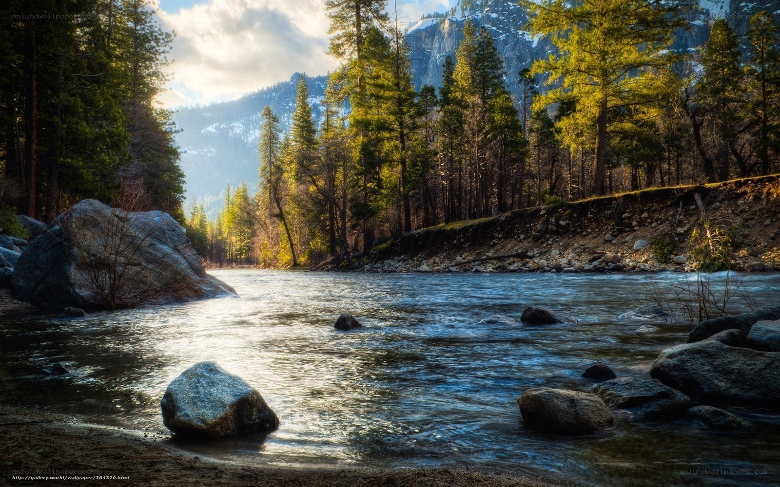 River in forested mountain valley