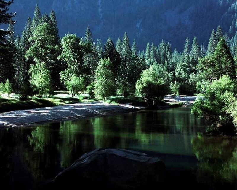 River in forested valley